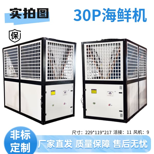 30P海鲜机